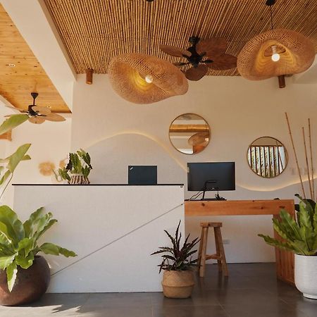 Molly Resort Bohol Taporok Kültér fotó